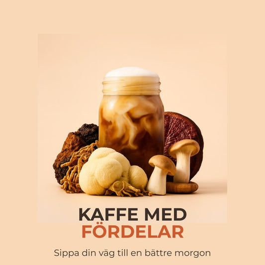 LIVRA Svampkaffeblandningen